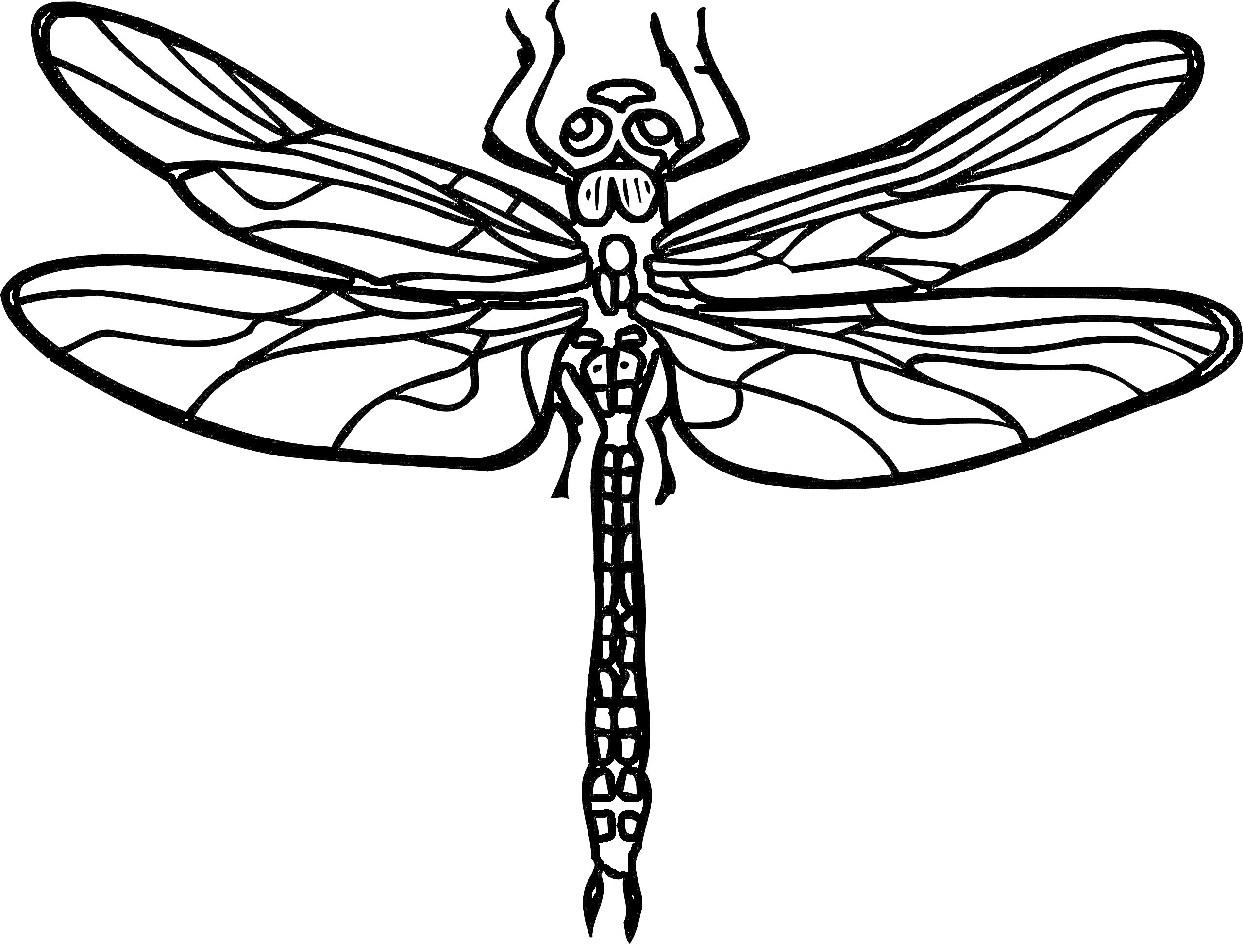 Раскраска Стрекоза с расправленными крыльями