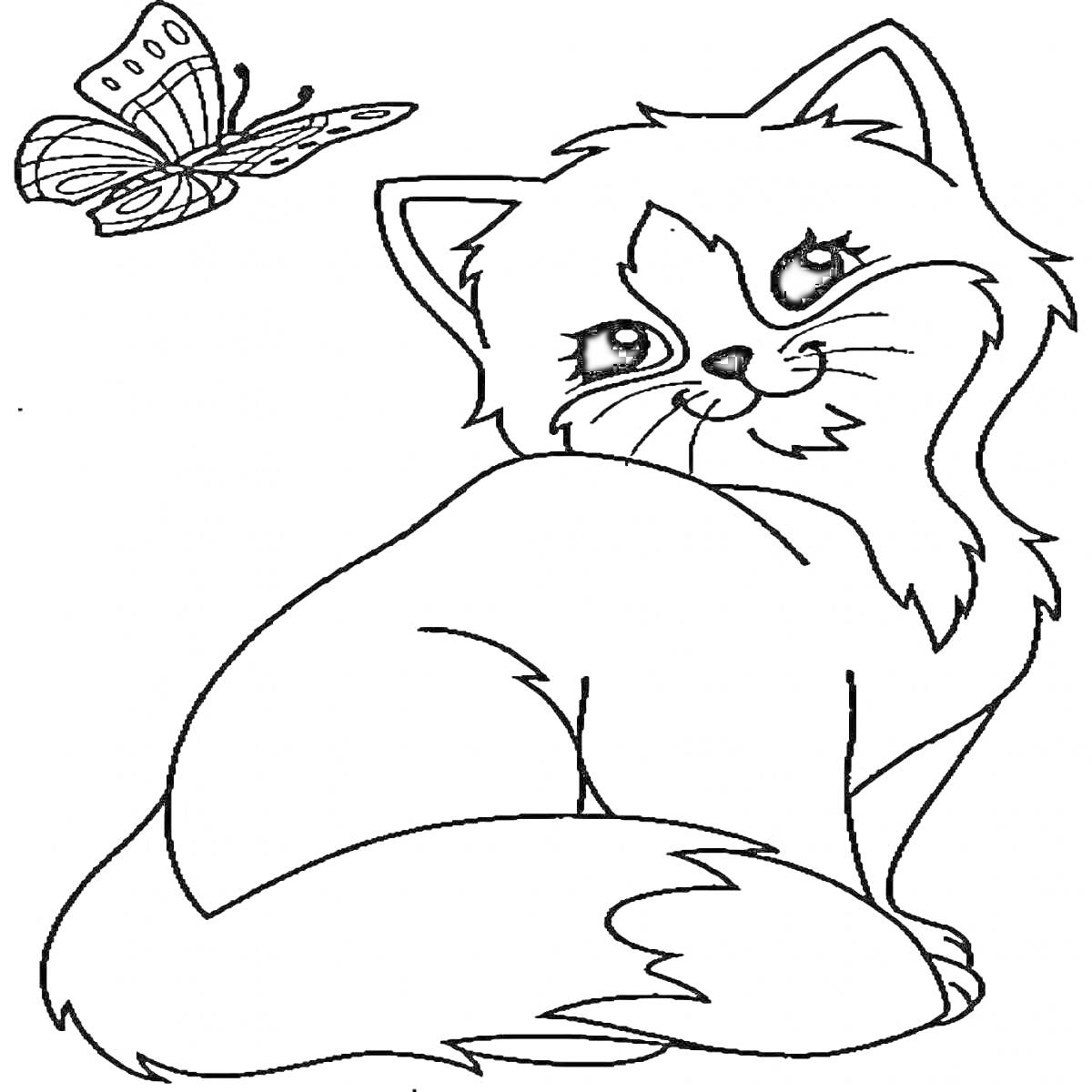 Раскраска Кот сидит и смотрит на бабочку