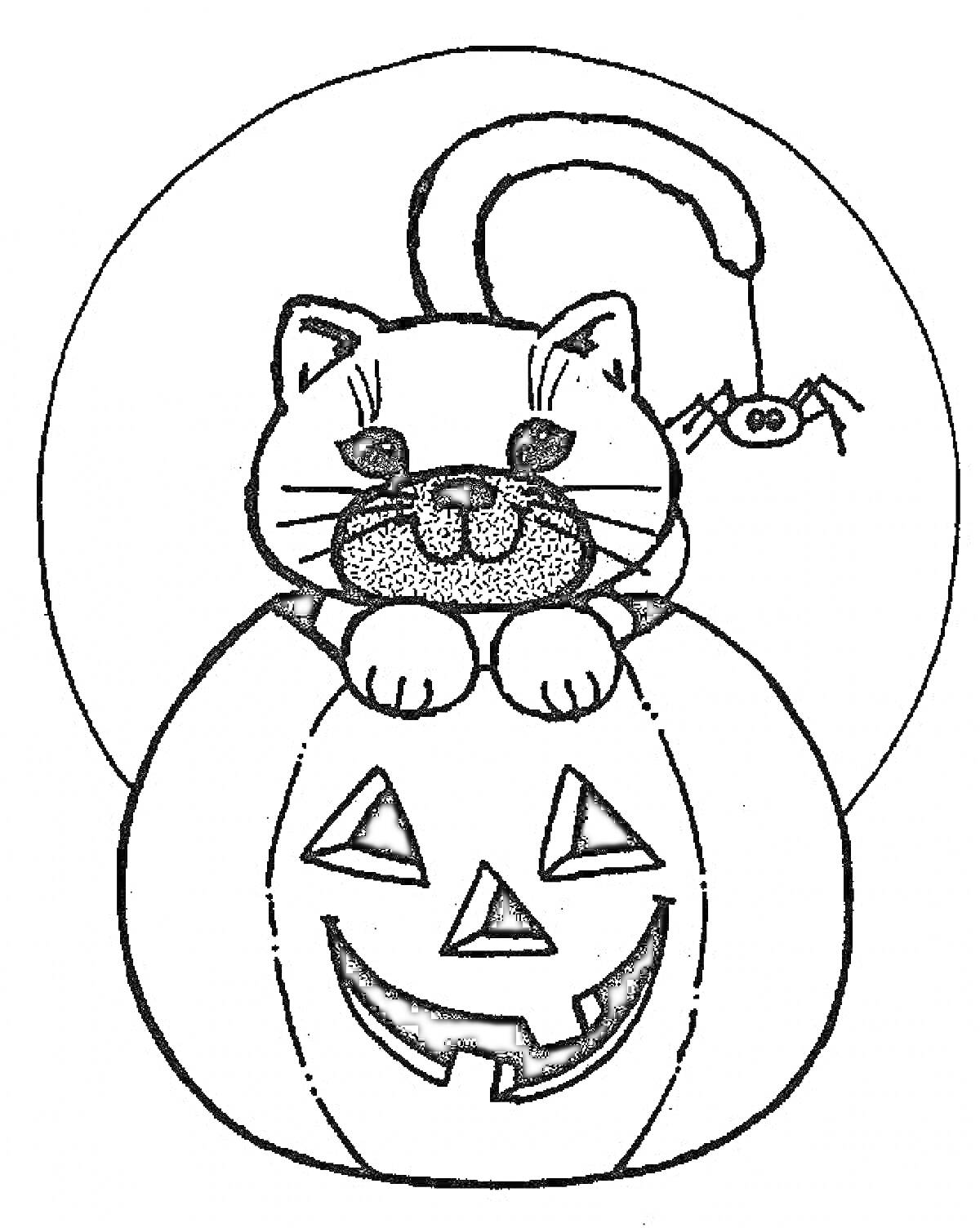 Раскраска Котенок в тыкве на Хэллоуин с паучком