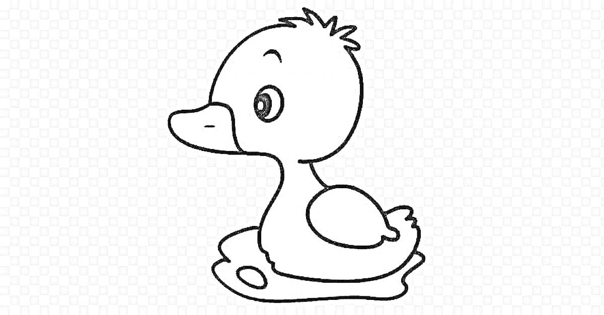 Раскраска Утенок на воде
