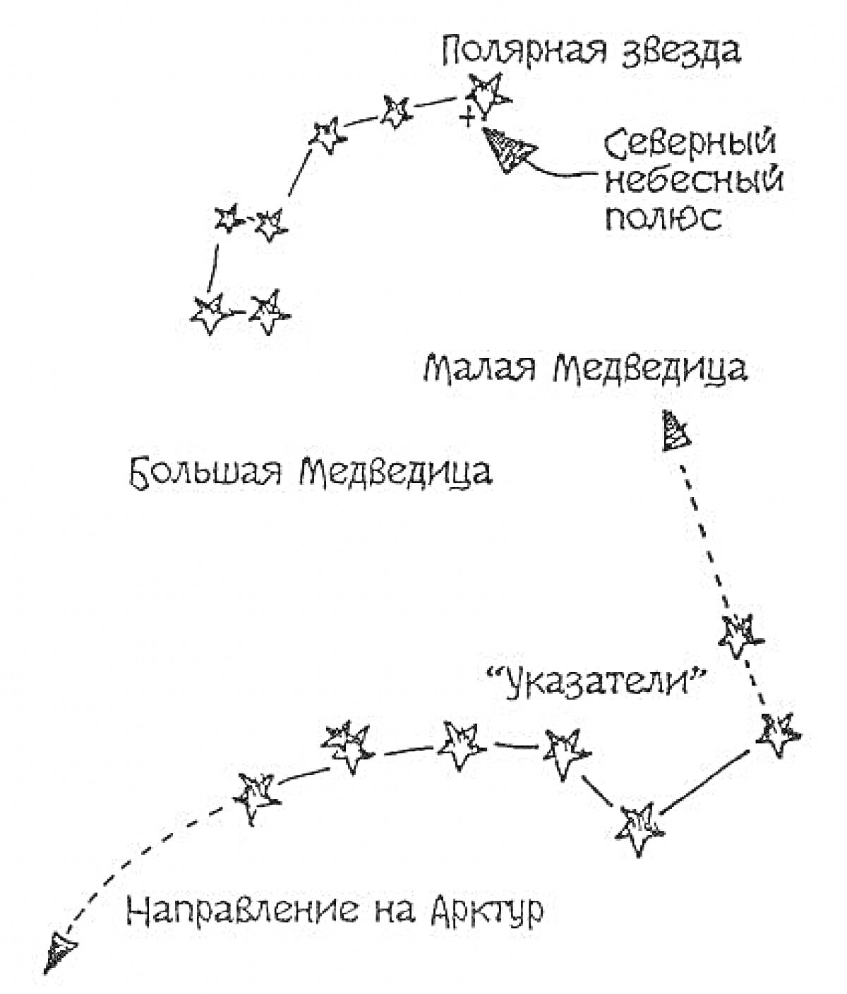 Раскраска Малая Медведица и Полярная звезда, направление на Арктур