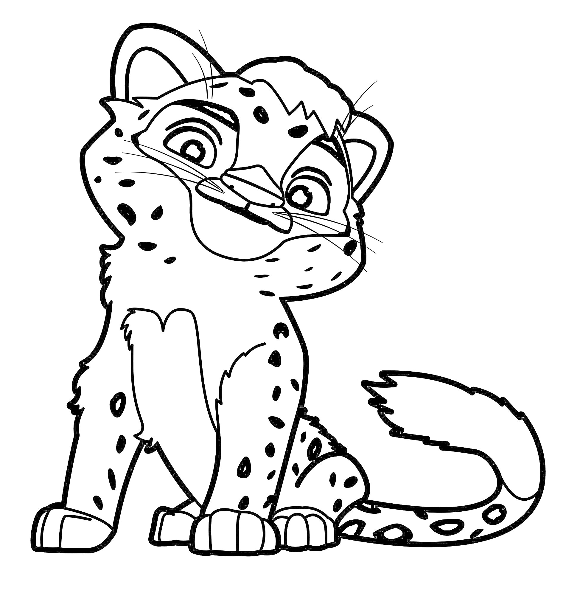 На раскраске изображено: Леопард, Улыбка