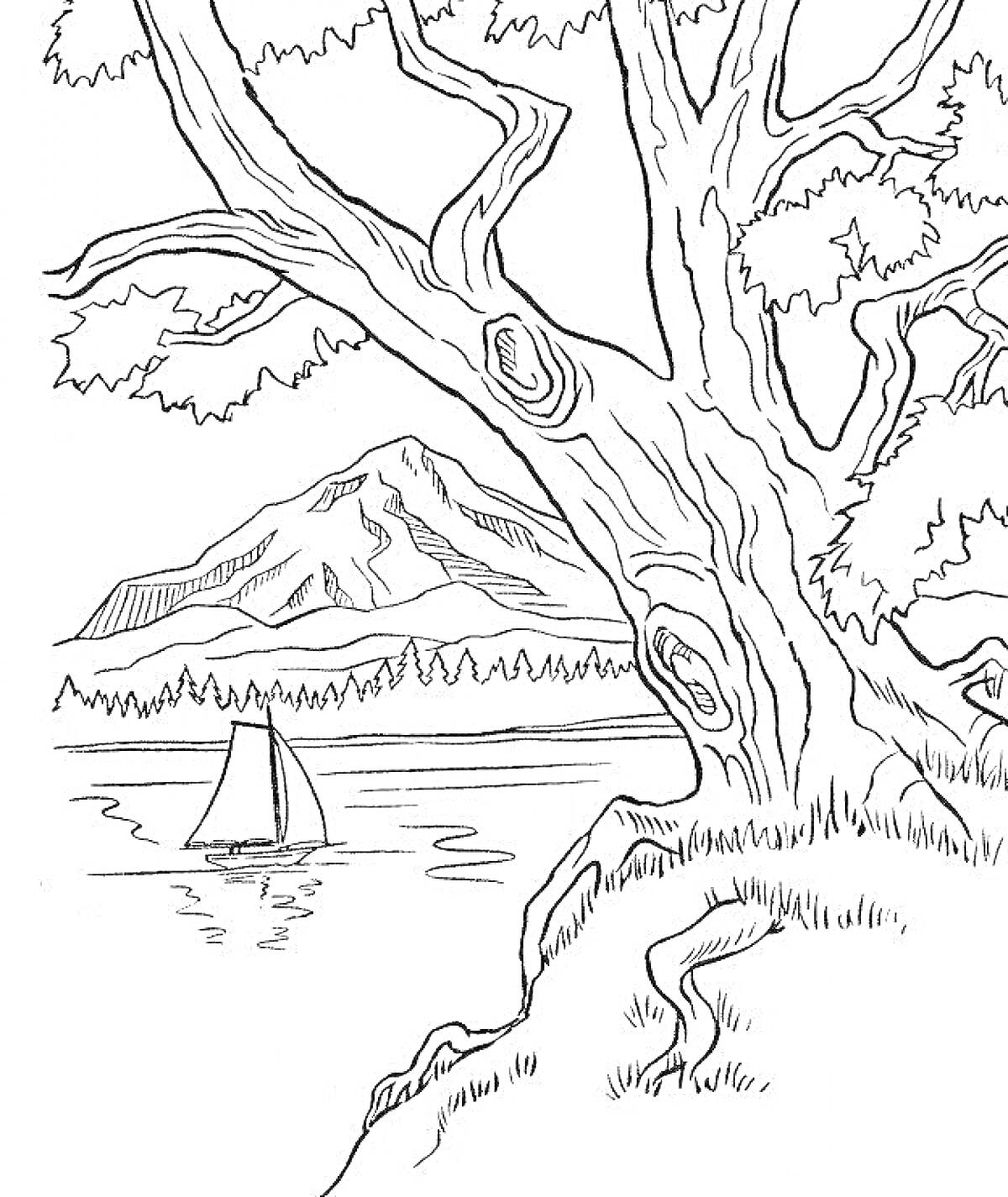 На раскраске изображено: Речка, Парусная лодка, Пейзаж, Природа
