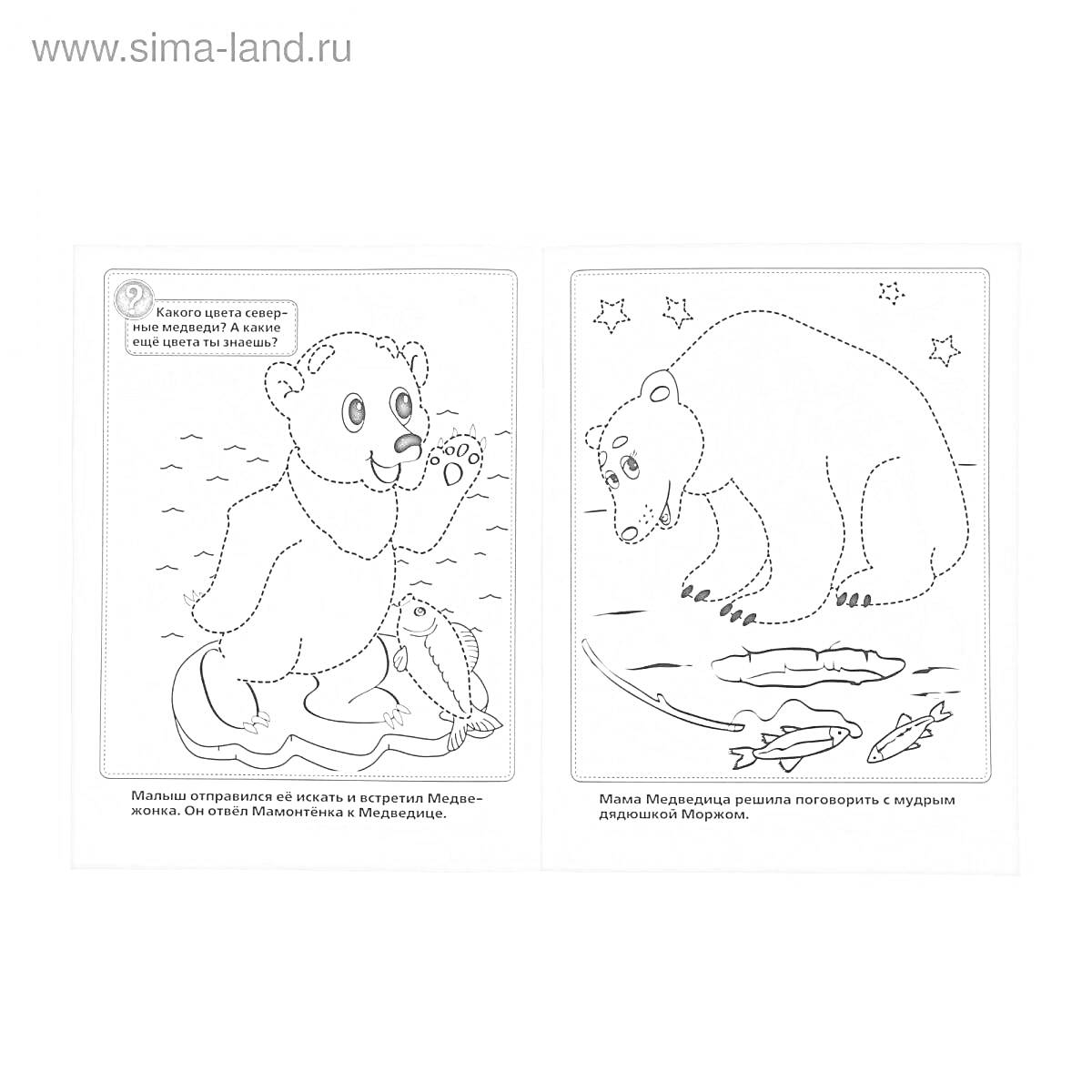 Раскраска медвежонок с игрушечной лодкой на одной странице, медведица и маленькие тюлени на другой странице