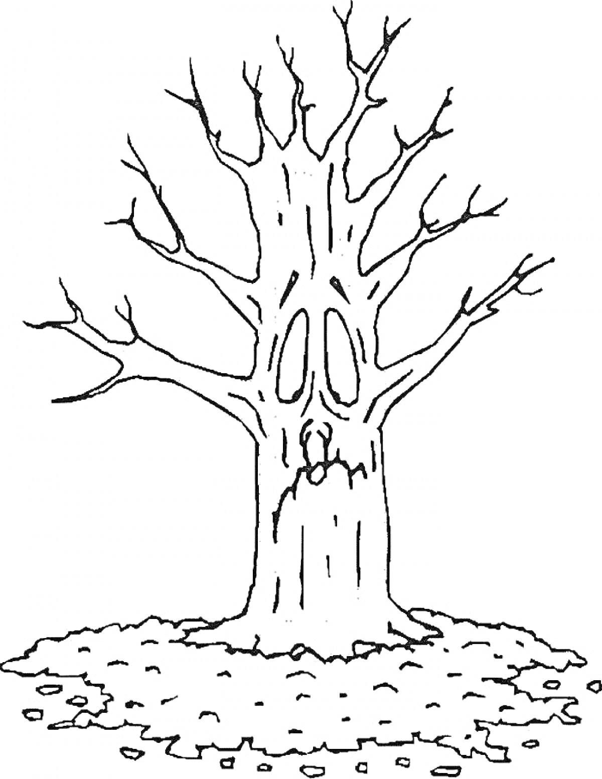 Раскраска Дерево без листьев с опадающими листьями на земле