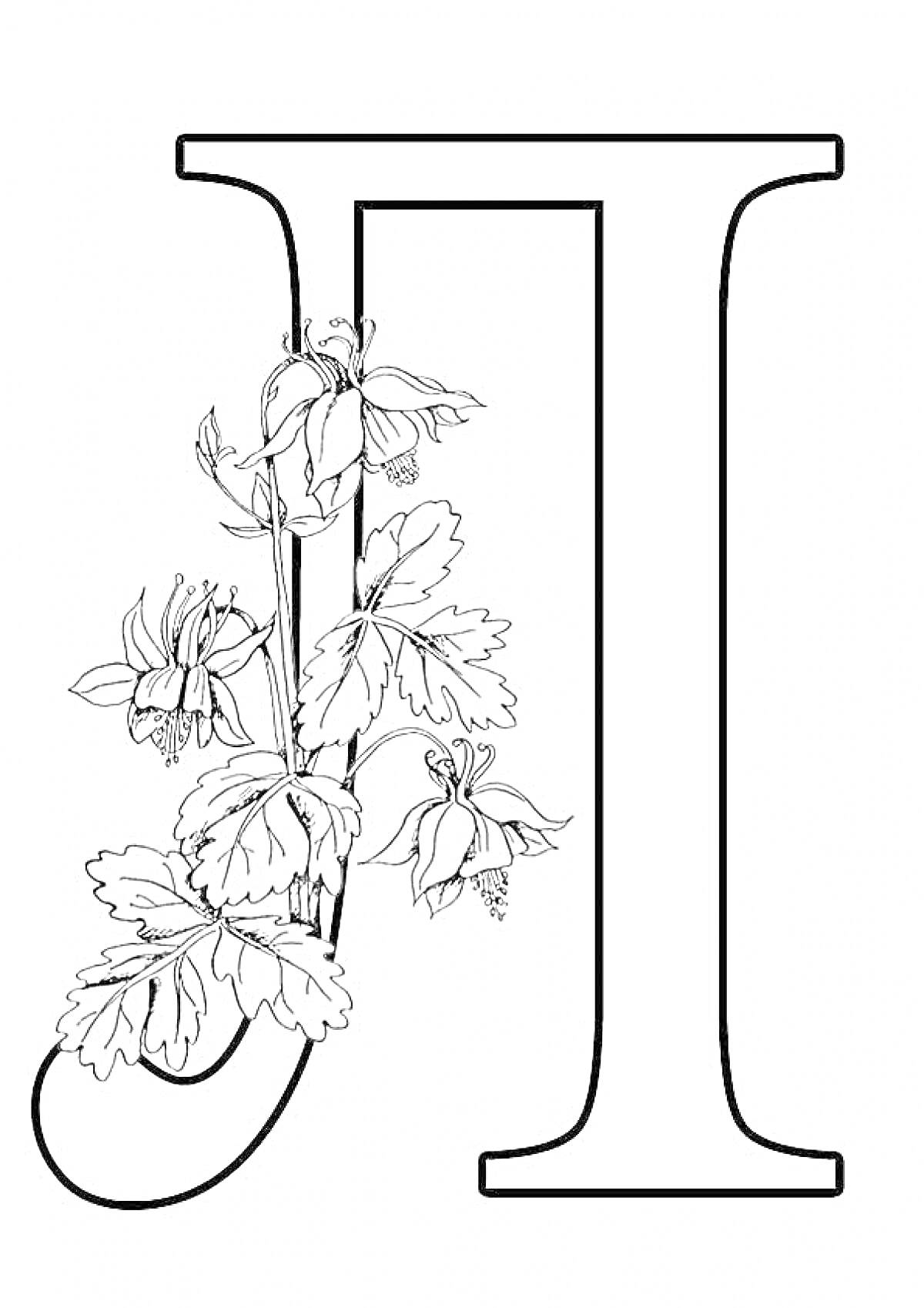 Раскраска Буква Л с цветами