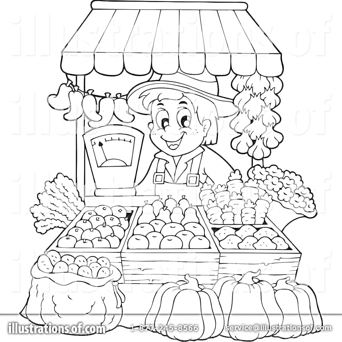 Раскраска Продавец на овощном рынке с весами, фруктами, овощами и тыквами