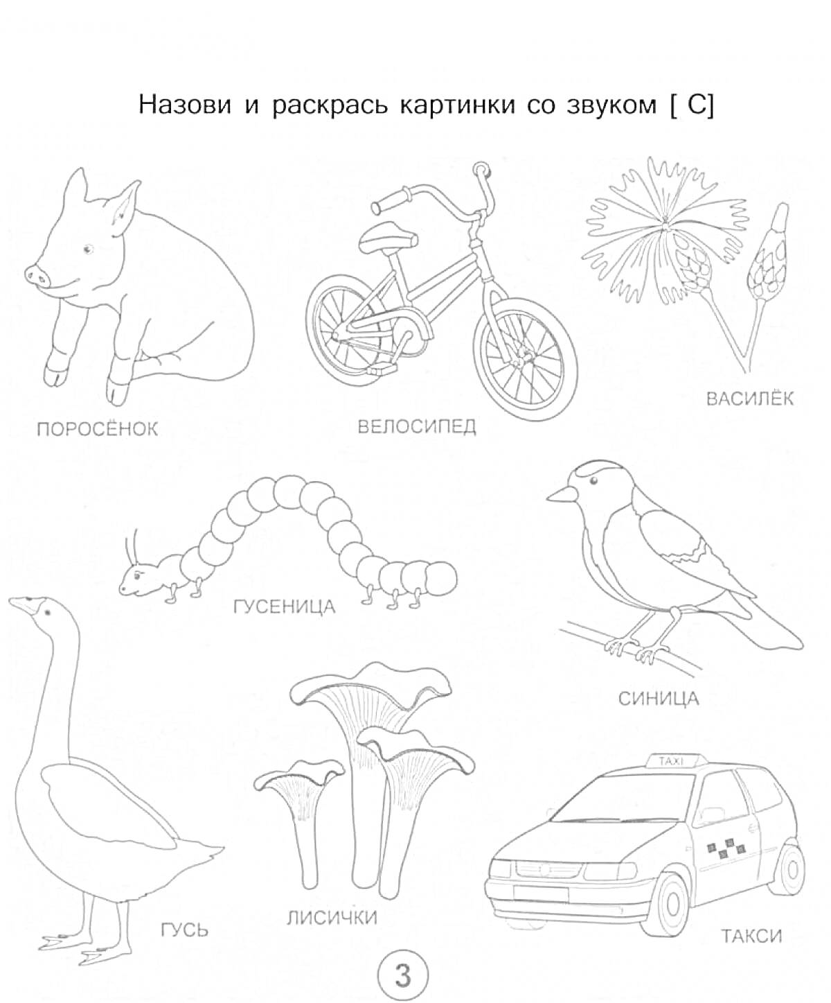 На раскраске изображено: Велосипед, Василёк, Синица, Лисички, Такси