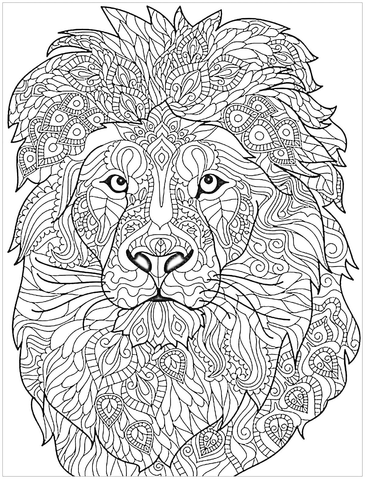Раскраска Лев с декоративными элементами, медитативный узор во львиной гриве и на морде