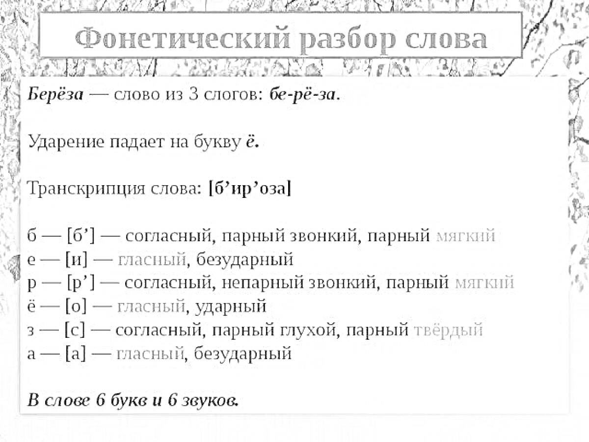 На раскраске изображено: Фонетический разбор, Береза, Транскрипция, Слоги, Буквы, Звуки, Русский язык