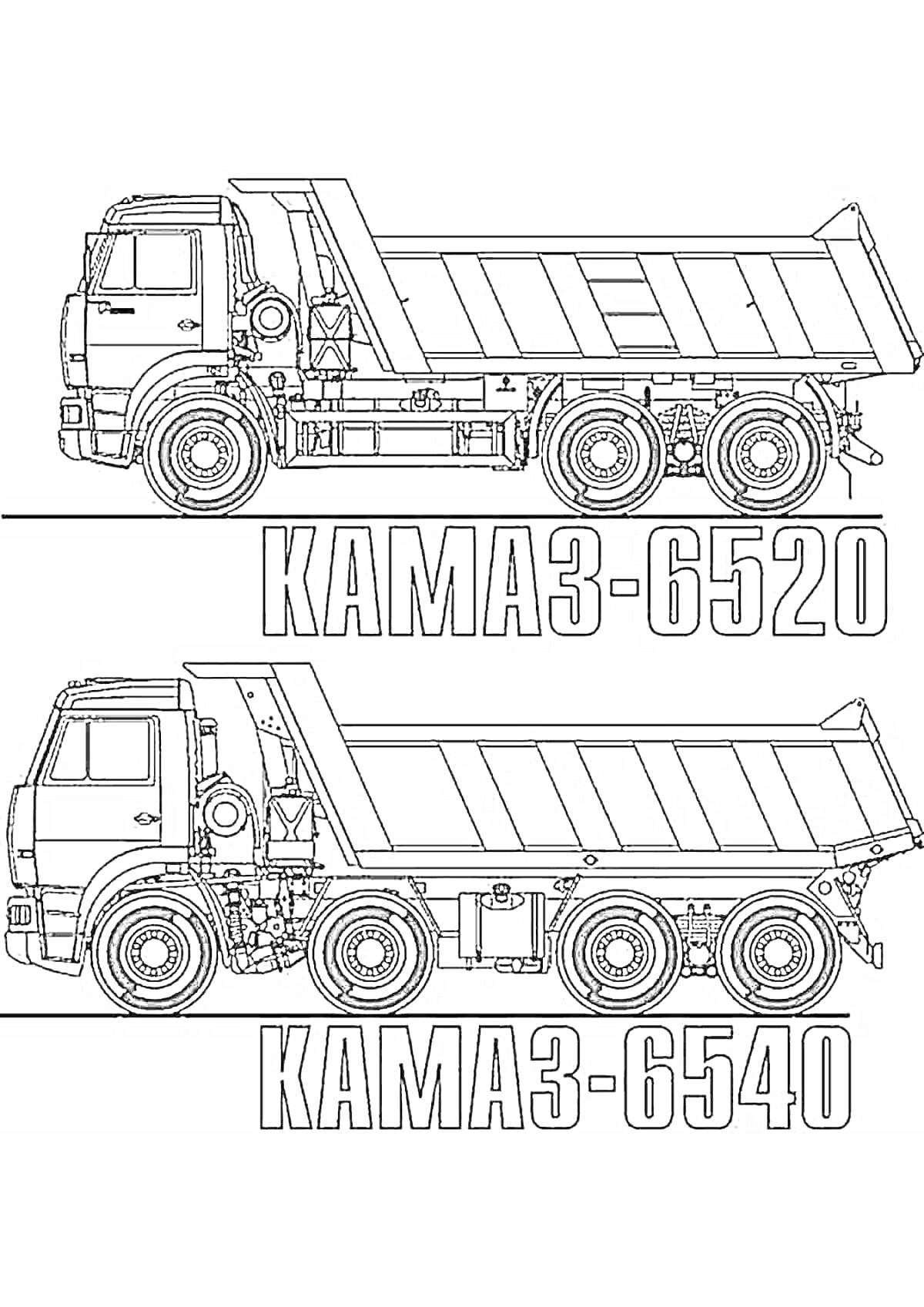 Раскраска КамАЗ-6520 и КамАЗ-6540, два грузовика с кузовом-самосвалом