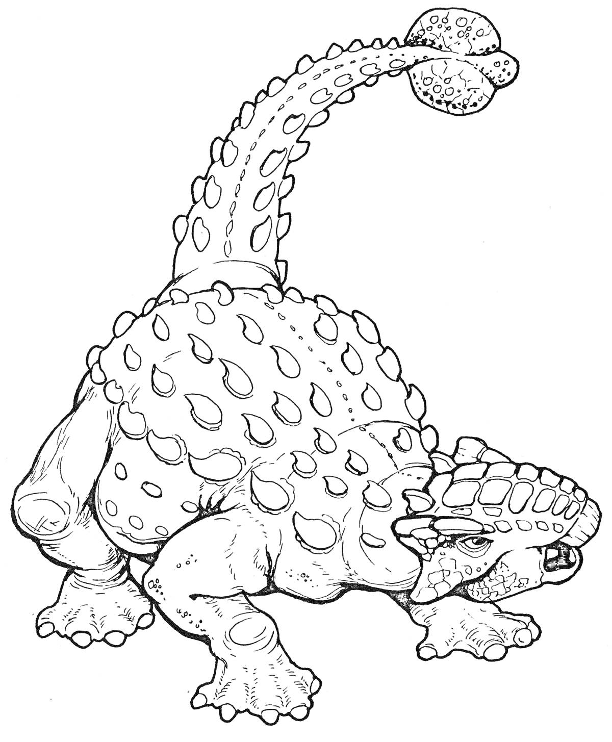 Раскраска Динозаврик с шипами на спине и хвостом в форме булавы