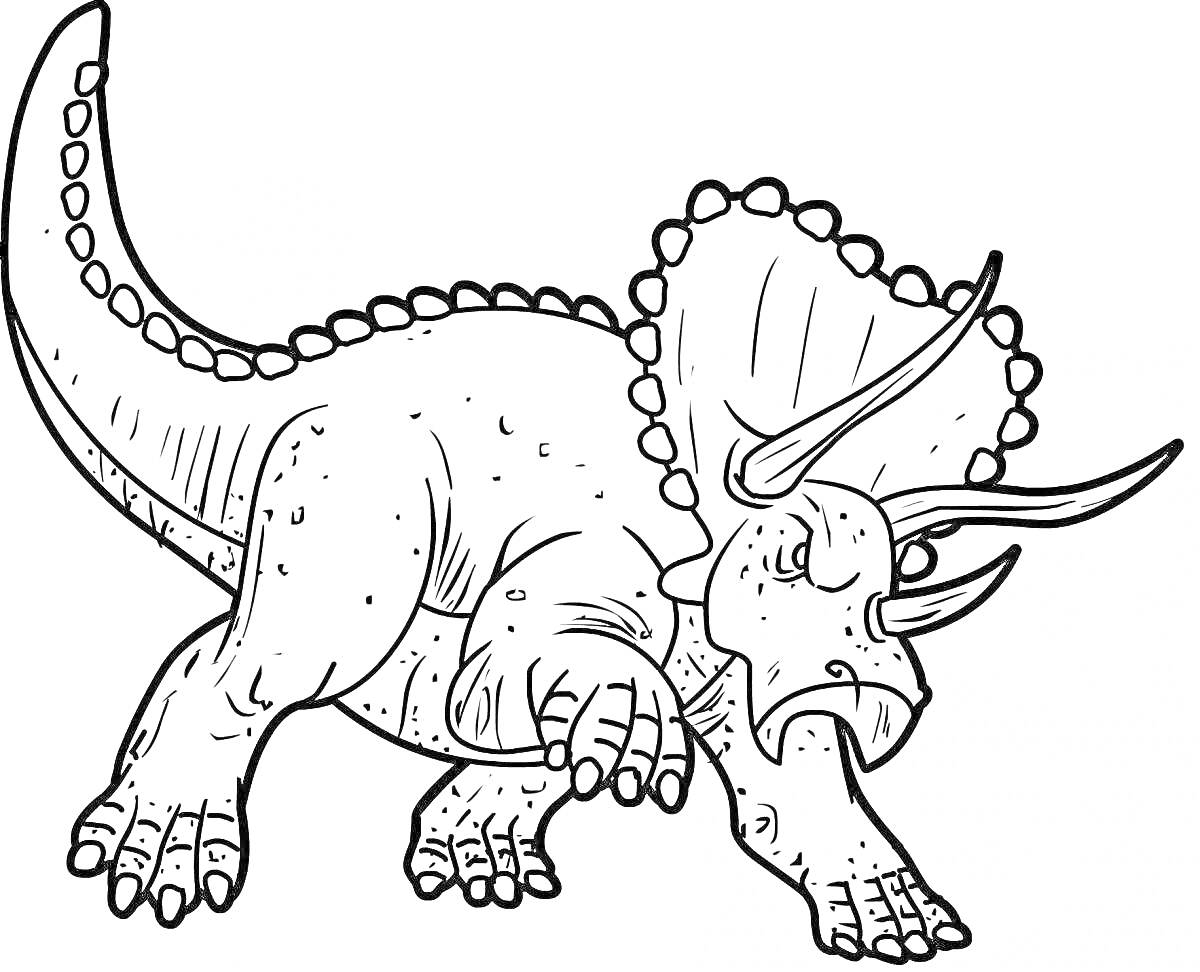 Раскраска Трицератопс с тремя рогами и чешуйчатым хвостом на фоне раскраски