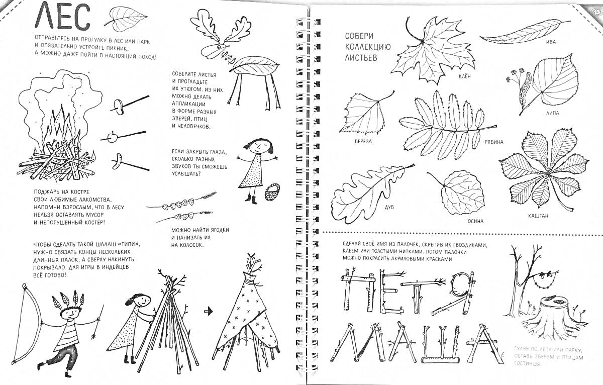 Раскраска Лес. Дети разжигают костёр, разбирают листья и стреляют из лука. Имена: Петя и Маша, Листья: клён, дуб, каштан, берёза. После занятий: палатка из досок, палатка из ткани