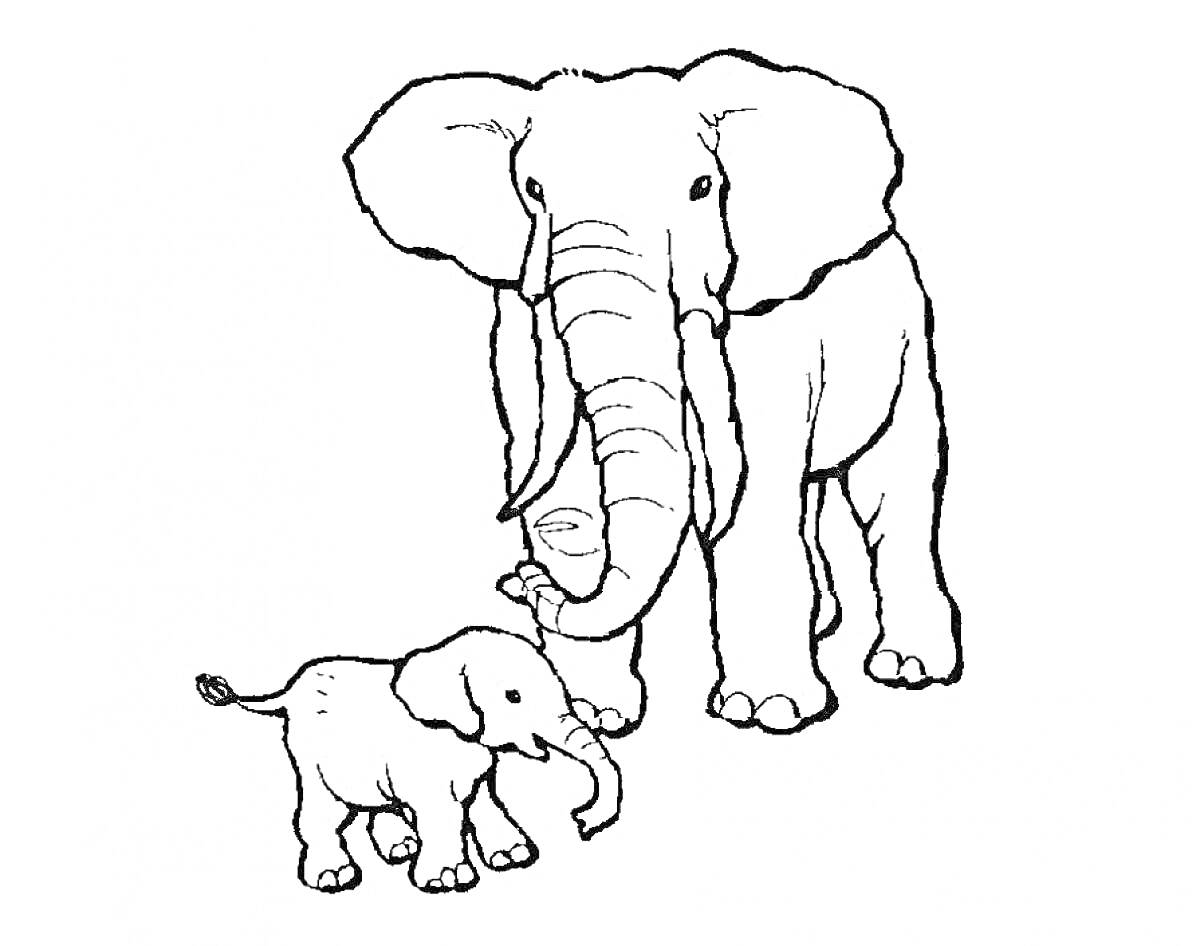 Раскраска Два слона - взрослый слон и слоненок