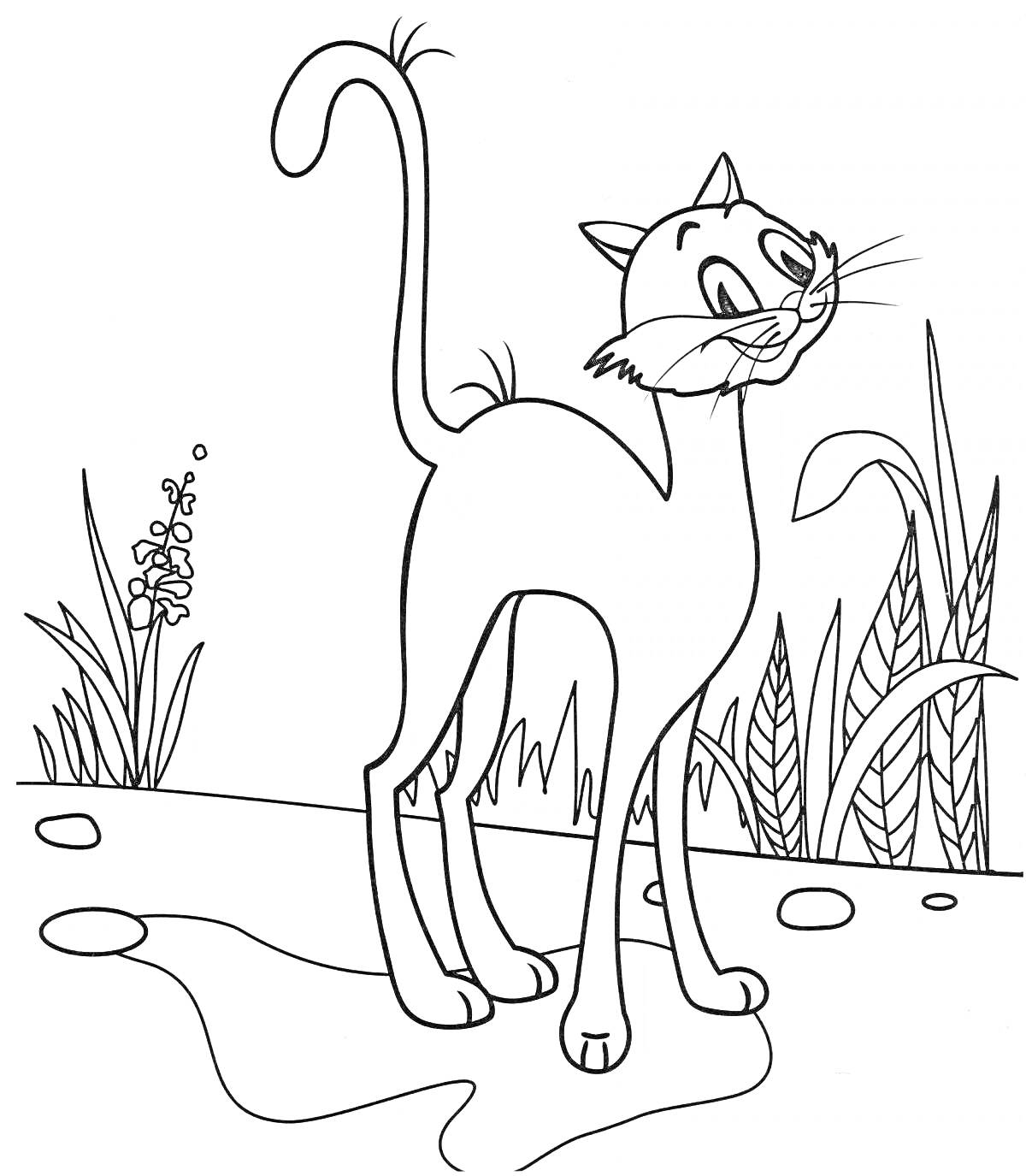 На раскраске изображено: Кот, Трава, Растения, Камни, Мультипликационный персонаж, Природа