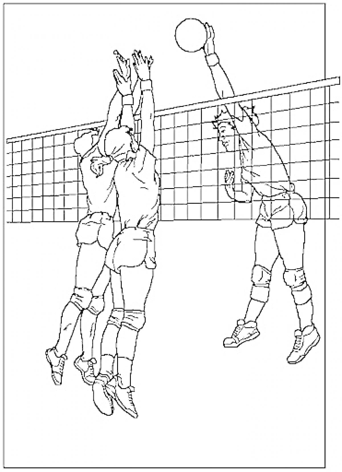 Раскраска Волейболисты, играющие возле сетки, один игрок с левой стороны поднимает руки вверх в прыжке, чтобы заблокировать мяч, в то время как другой игрок справа пытается пробить мяч через сетку.
