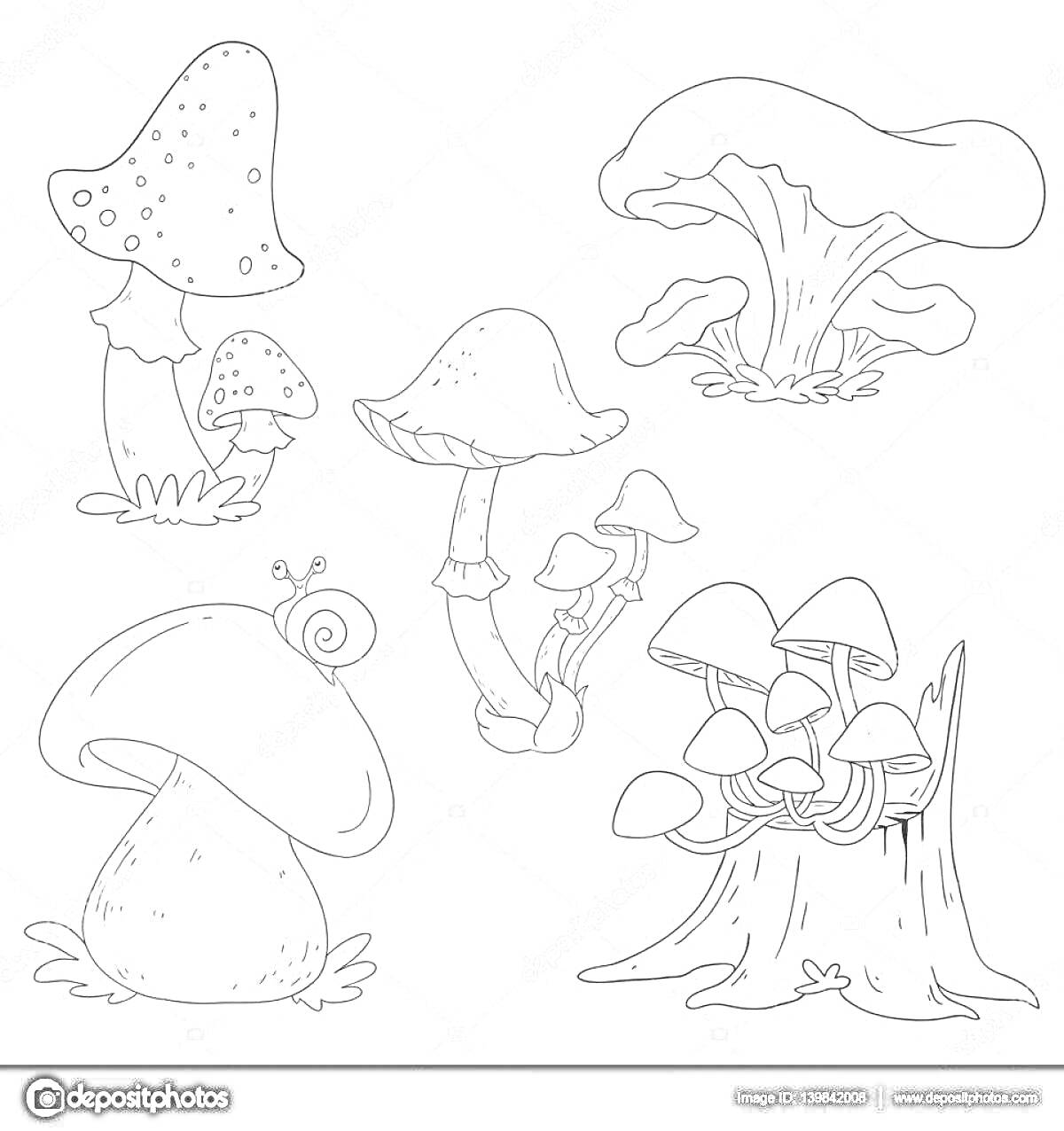 На раскраске изображено: Грибы, Съедобные грибы, Несъедобные грибы, Мухомор, Улитка, Природа, Лес