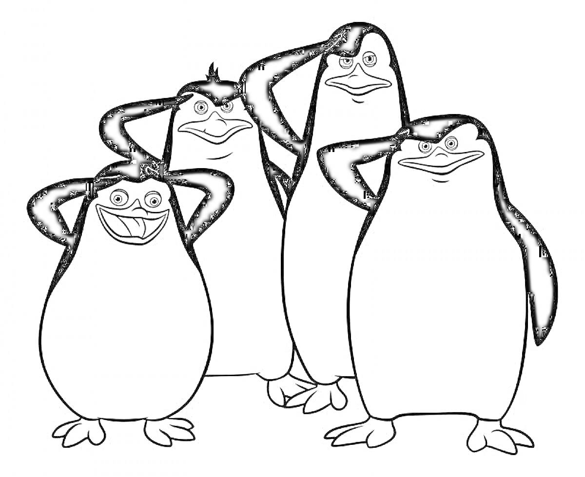 На раскраске изображено: Пингвины, Мадагаскар, Животные, Команда