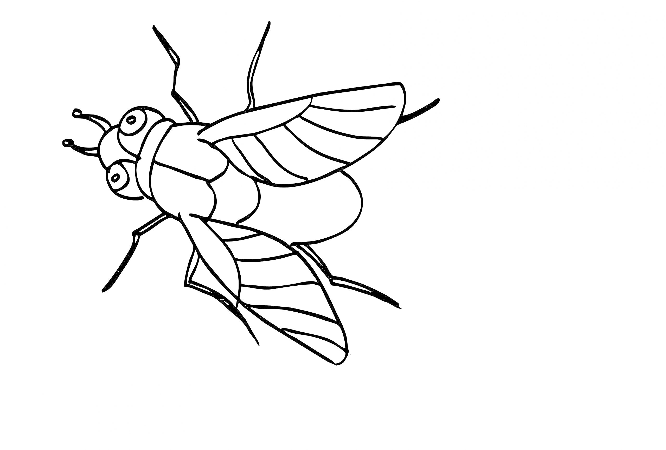 Раскраска с изображением мухи с шестью лапками и двумя крыльями