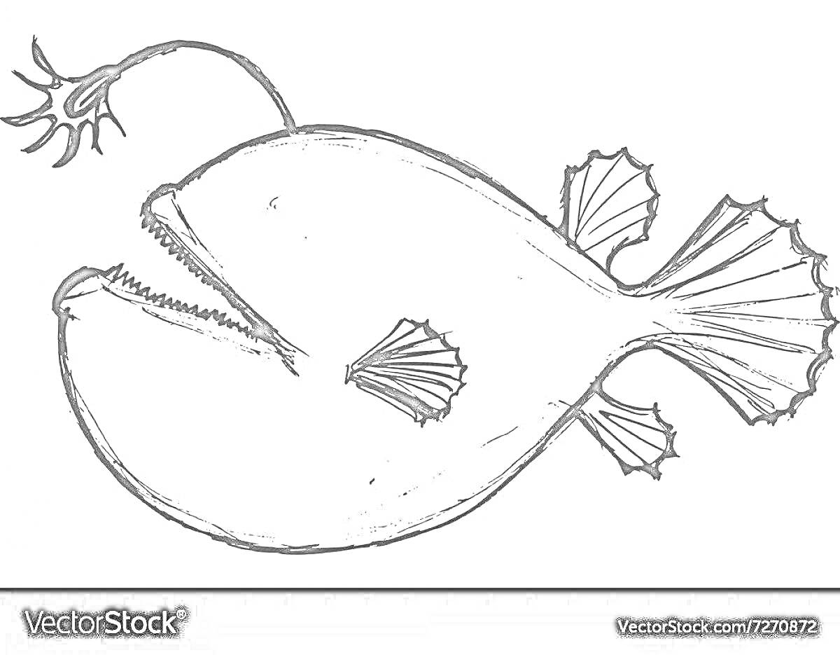 Раскраска Удильщик рыба с приманкой, плавниками и длинным хвостом.