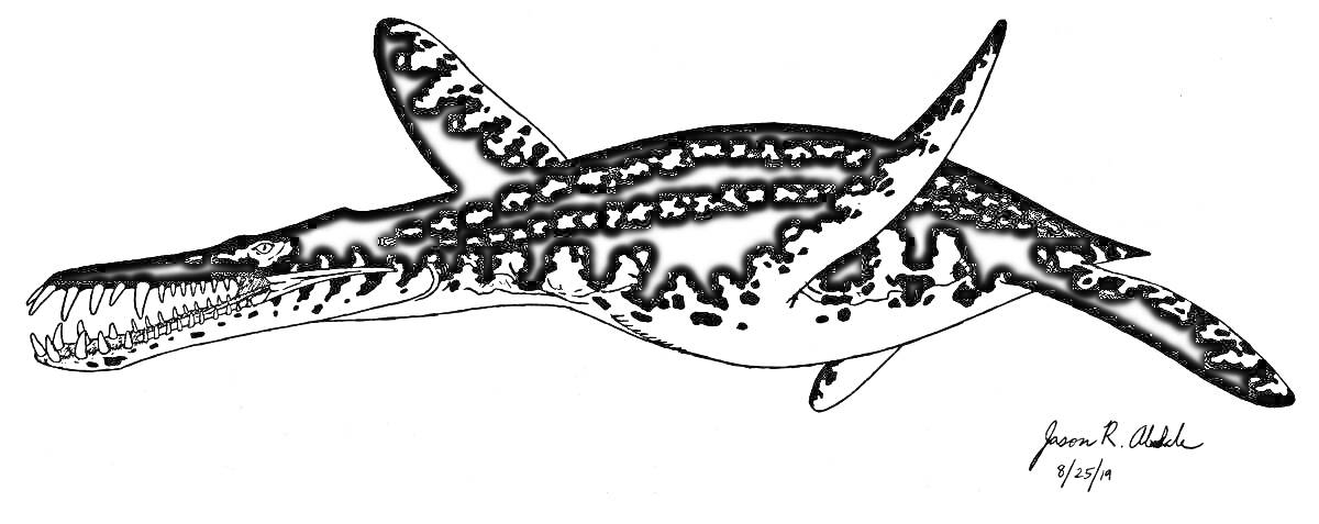 Раскраска Лиоплевродон, плывущий в воде с открытой пастью