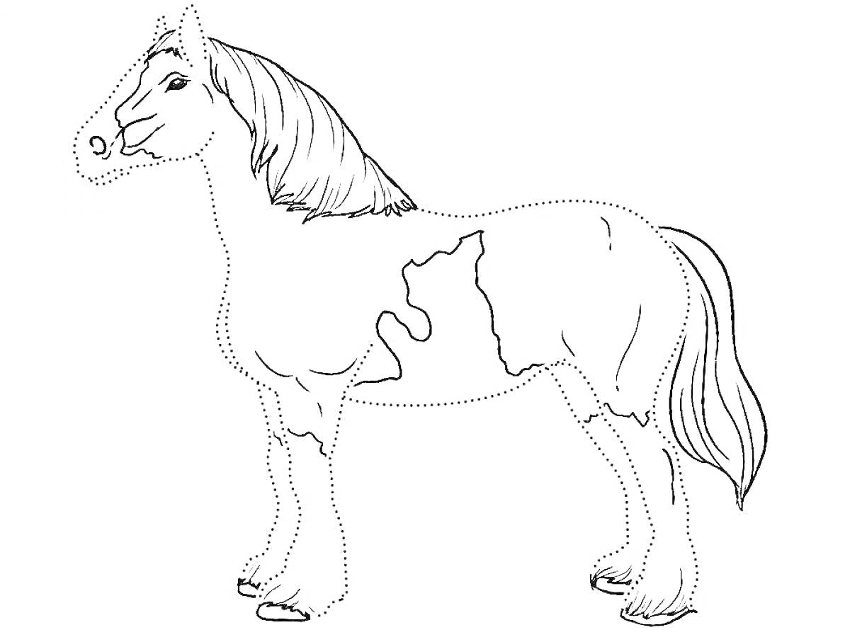 На раскраске изображено: Лошадь, Пятна, Конь, Хвост, Грива