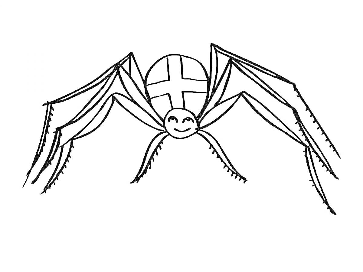 Раскраска Улыбающийся паук с полосатым узором на спине