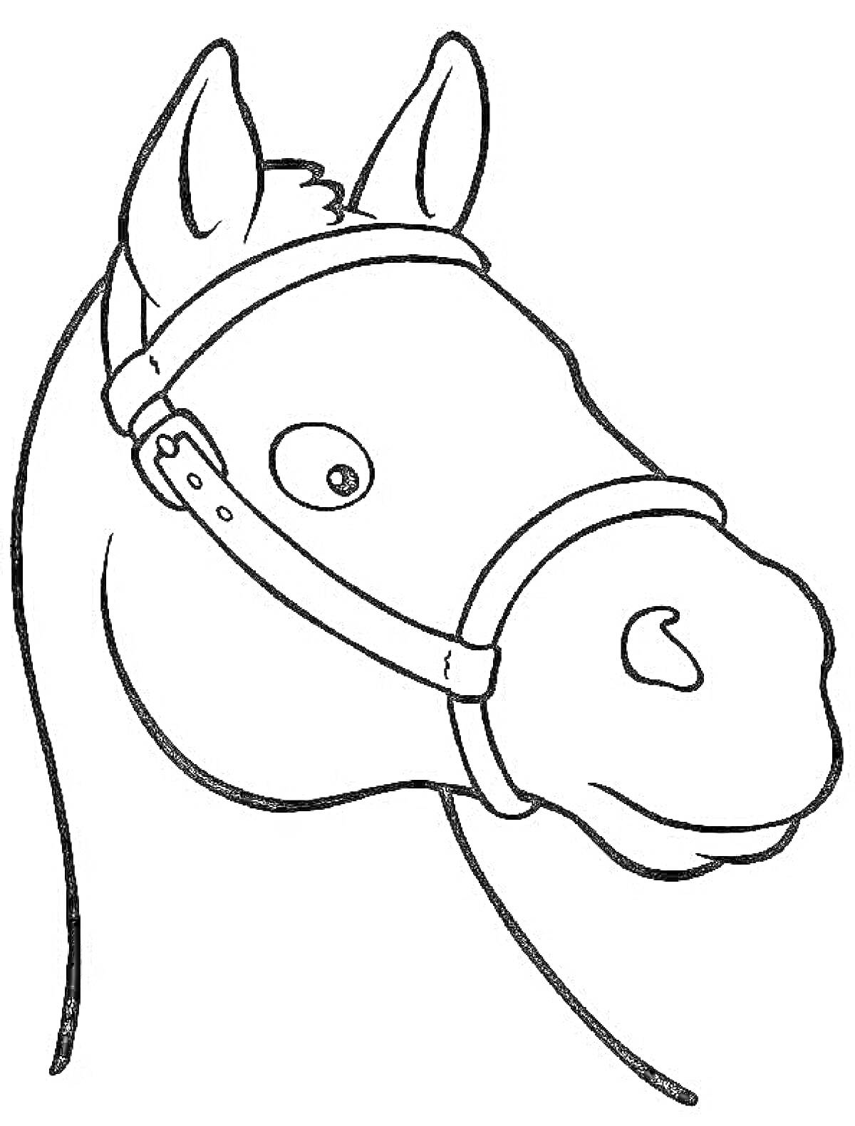На раскраске изображено: Лошадь, Голова, Уздечка, Конь, Уши, Морда