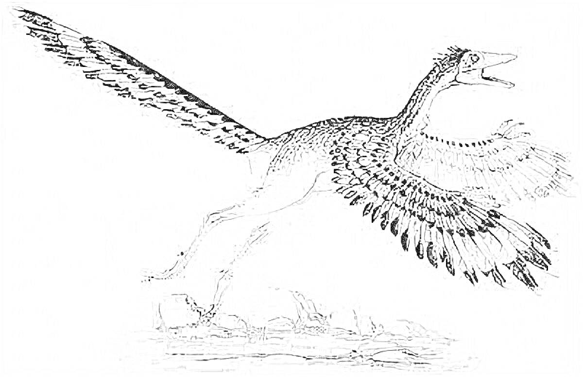 Раскраска Археоптерикс с крышкой из камней, вытянутыми крыльями и оперённым хвостом
