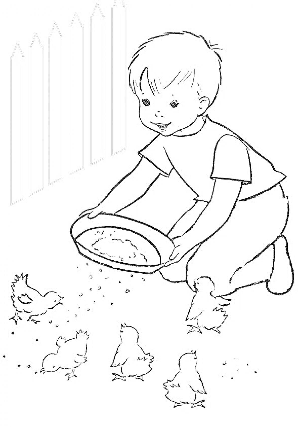 На раскраске изображено: Мальчик, Цыплята, Добрые дела, Забота о животных, Забор, Миска, Коленопреклонение