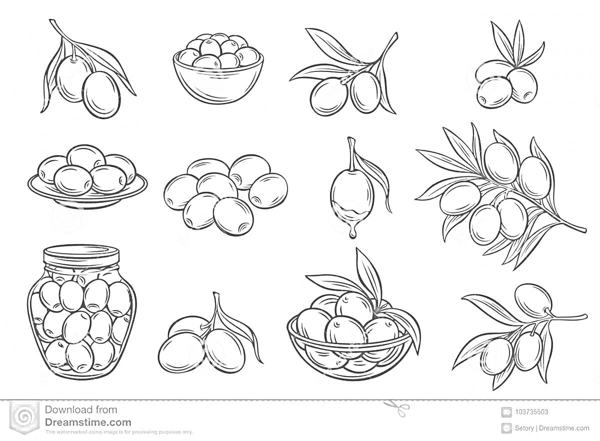 На раскраске изображено: Оливки, Ветка, Миска, Блюдо, Банка, Листья, Еда