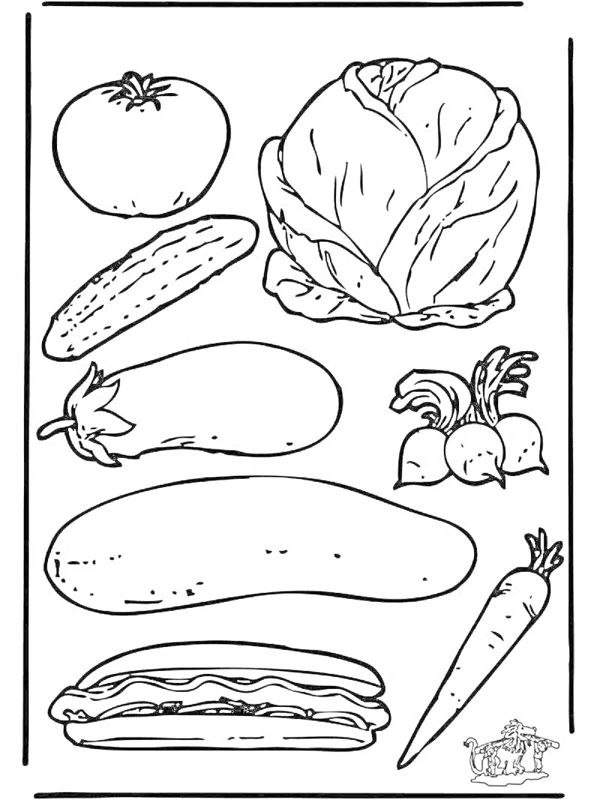 На раскраске изображено: Овощи, Помидор, Капуста, Огурец, Баклажан, Кабачок