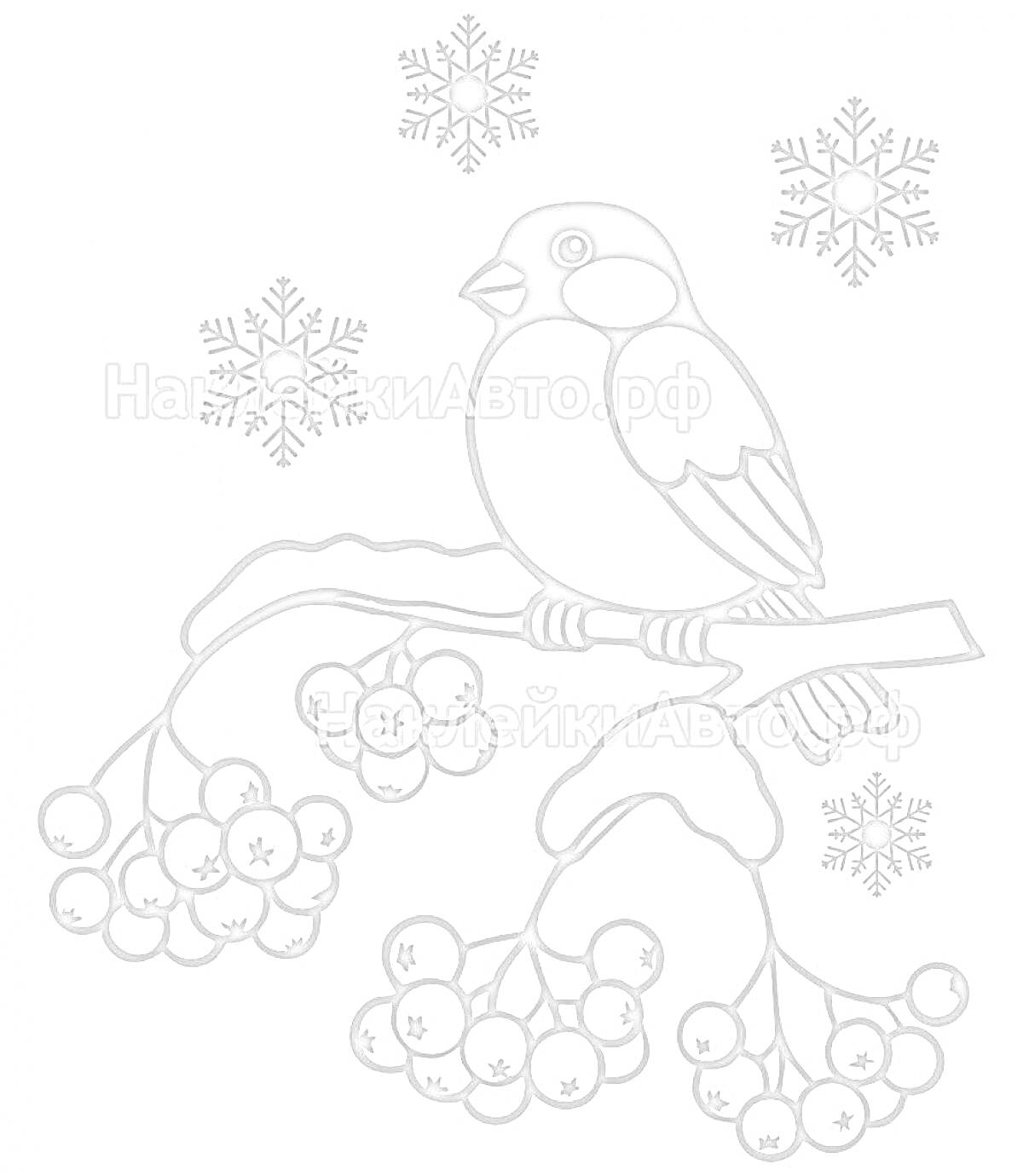 На раскраске изображено: Снегирь, Ветка, Ягоды, Снежинки, Зима, Птица, Природа, Детское творчество