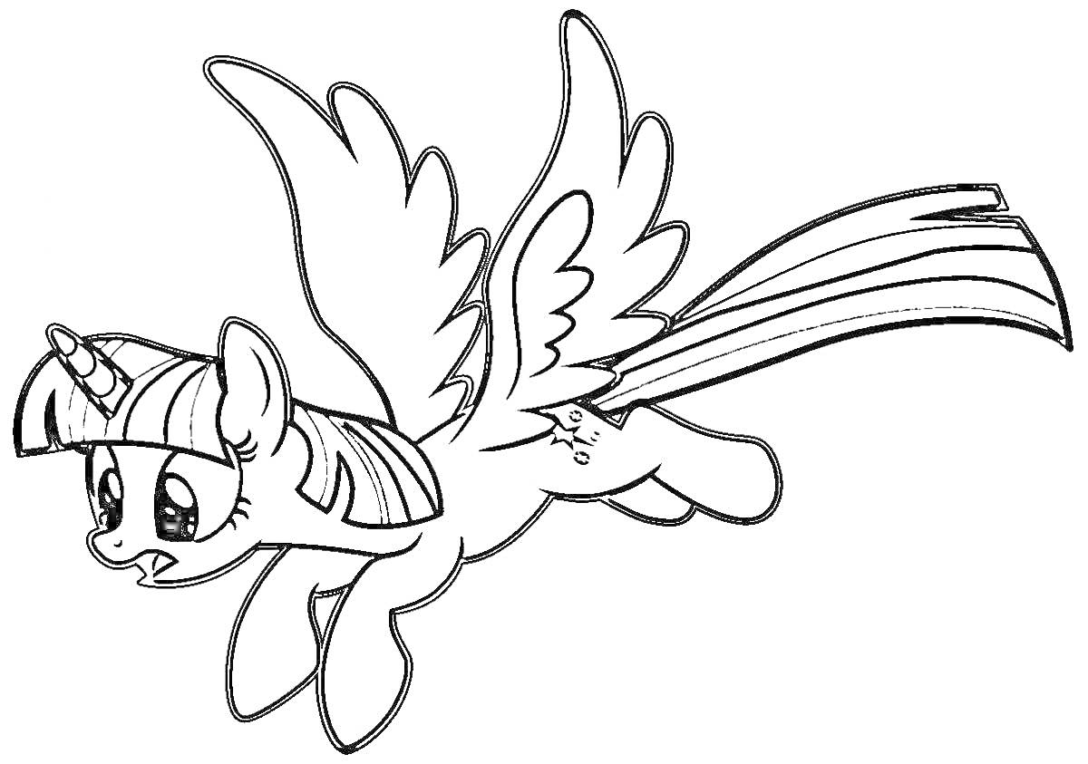 Раскраска Летающий аликорн с гривой, хвостом, рогом и крыльями, выразительное выражение лица