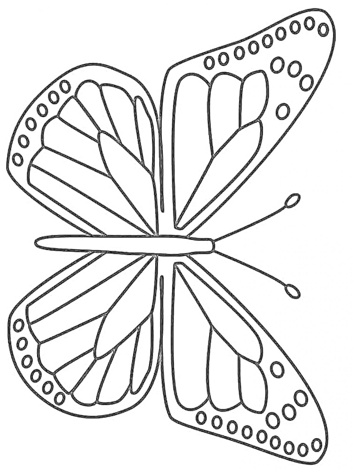 На раскраске изображено: Бабочка, Крылья, Насекомое, Точки, Расправленные крылья
