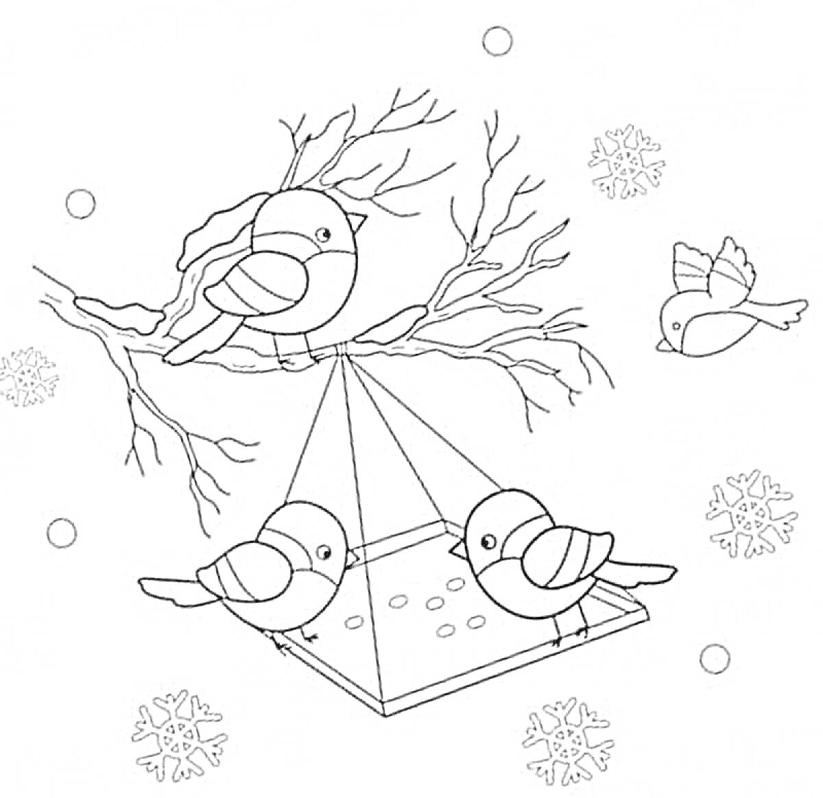 Раскраска Три синицы на ветке и кормушке с семенами, снежинки