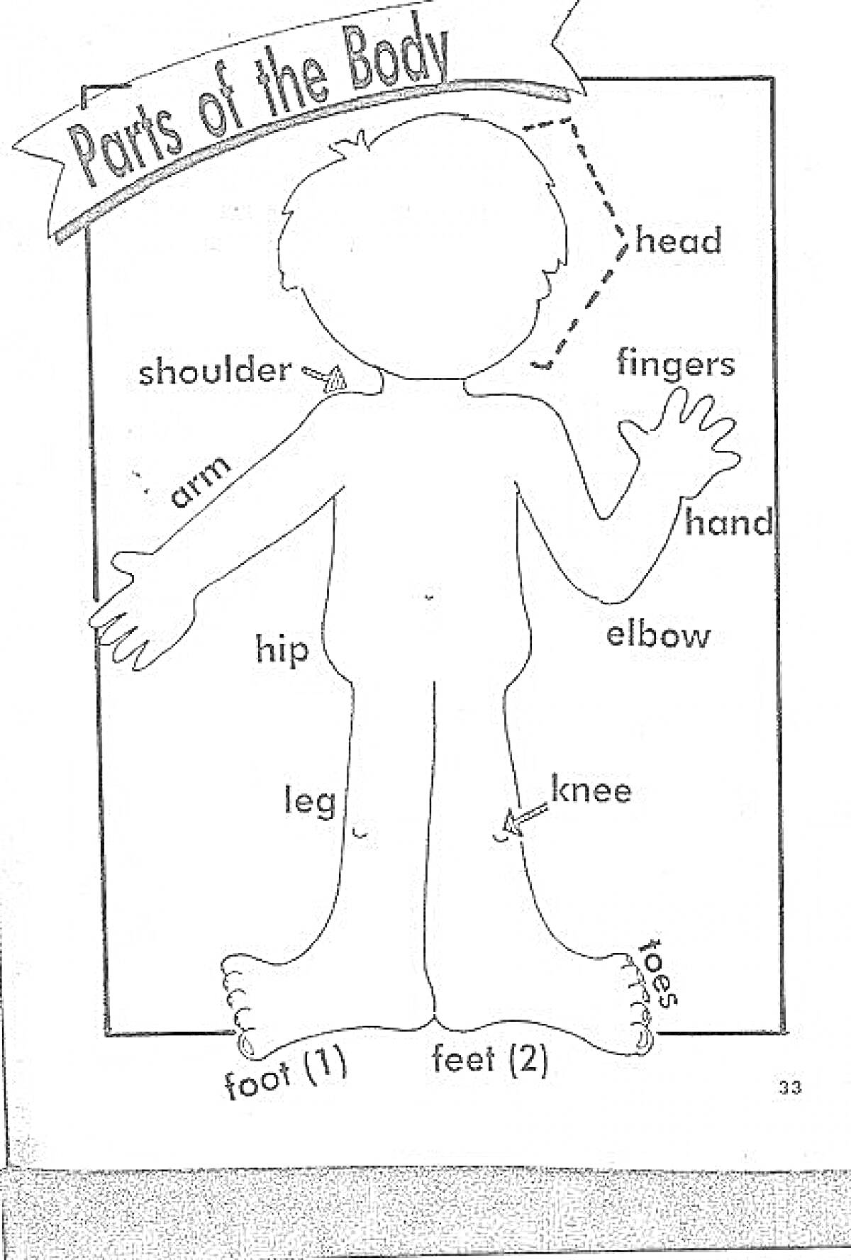 Раскраска Parts of the Body: head, shoulder, arm, hip, leg, foot, feet, toes, knee, elbow, hand, fingers