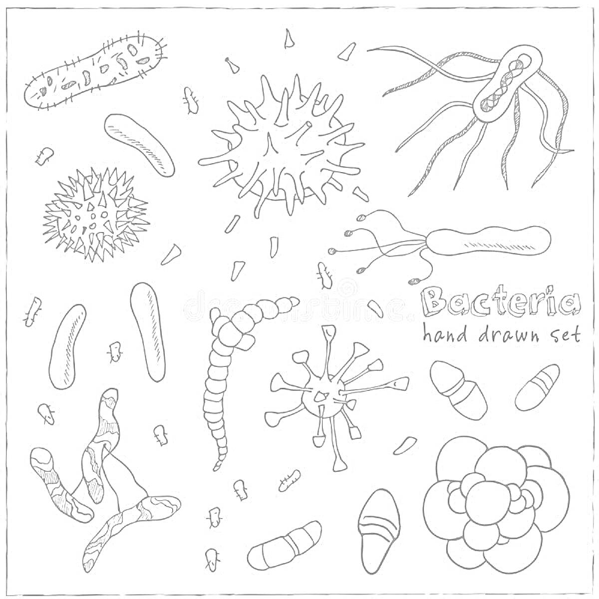 Раскраска Набор рисованных бактерий (различные формы бактерий, бацилл, вирусов и микробов)