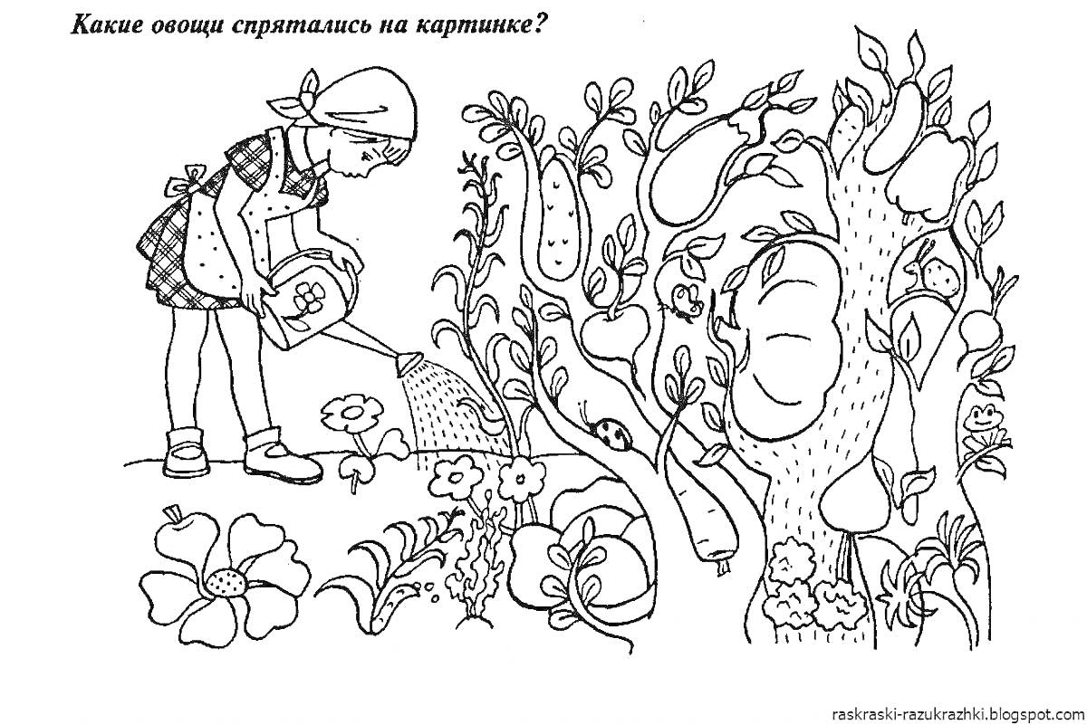 Раскраска Девочка поливает грядку с овощами и цветами