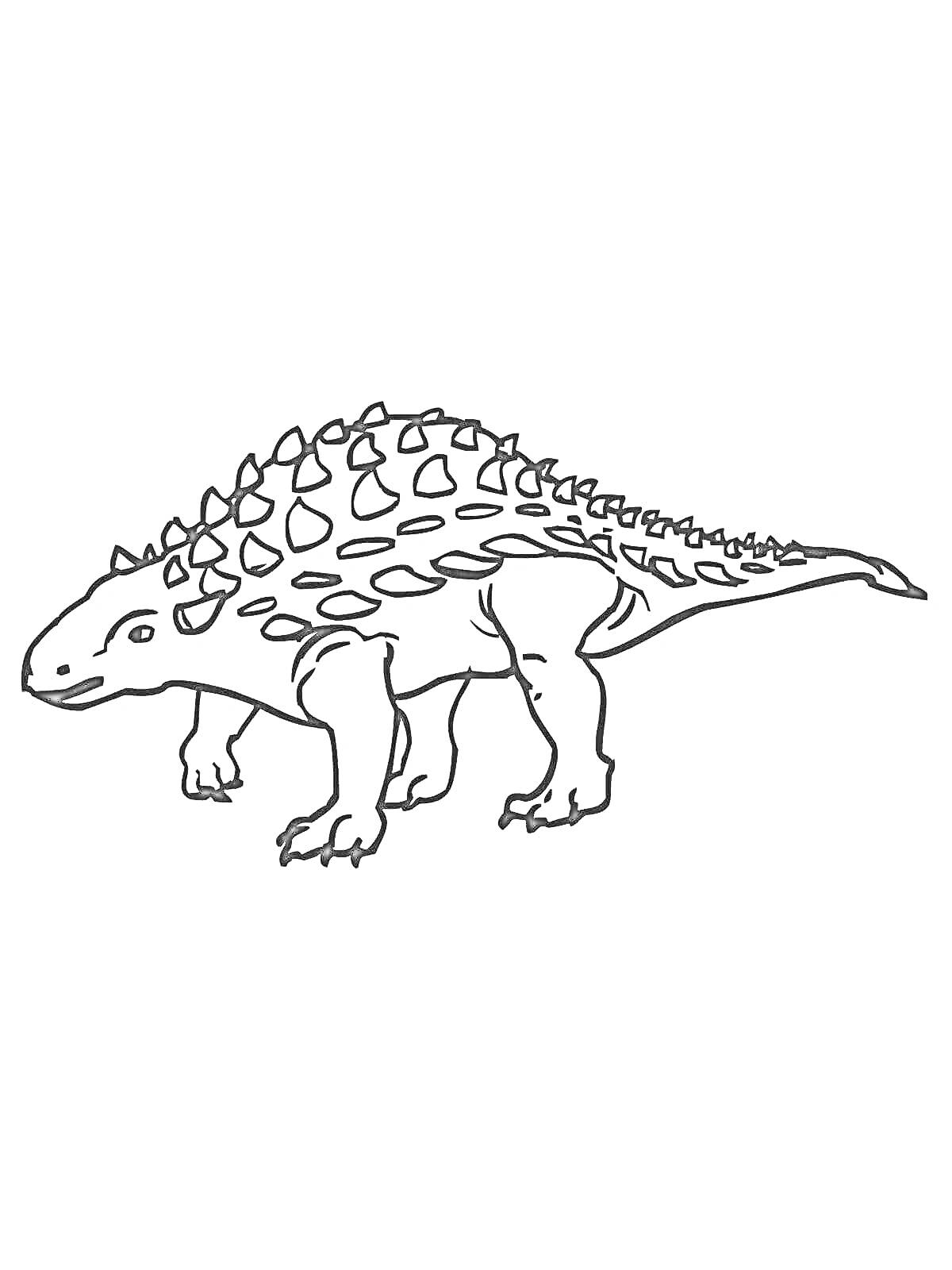 На раскраске изображено: Анкилозавр, Динозавр, Шипы, Животные, Раскрашивание, Для детей, Доисторическая эпоха, Рептилии