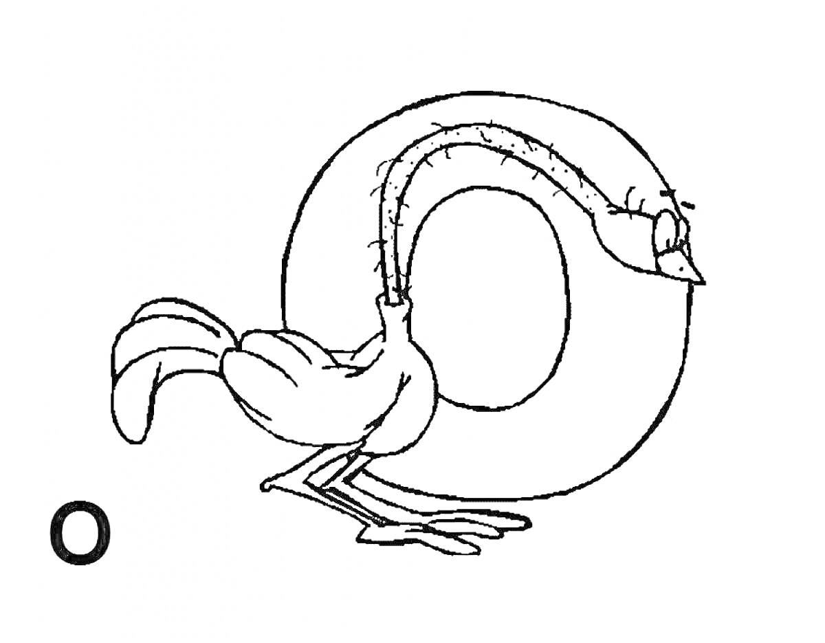Буква O с изображением страуса