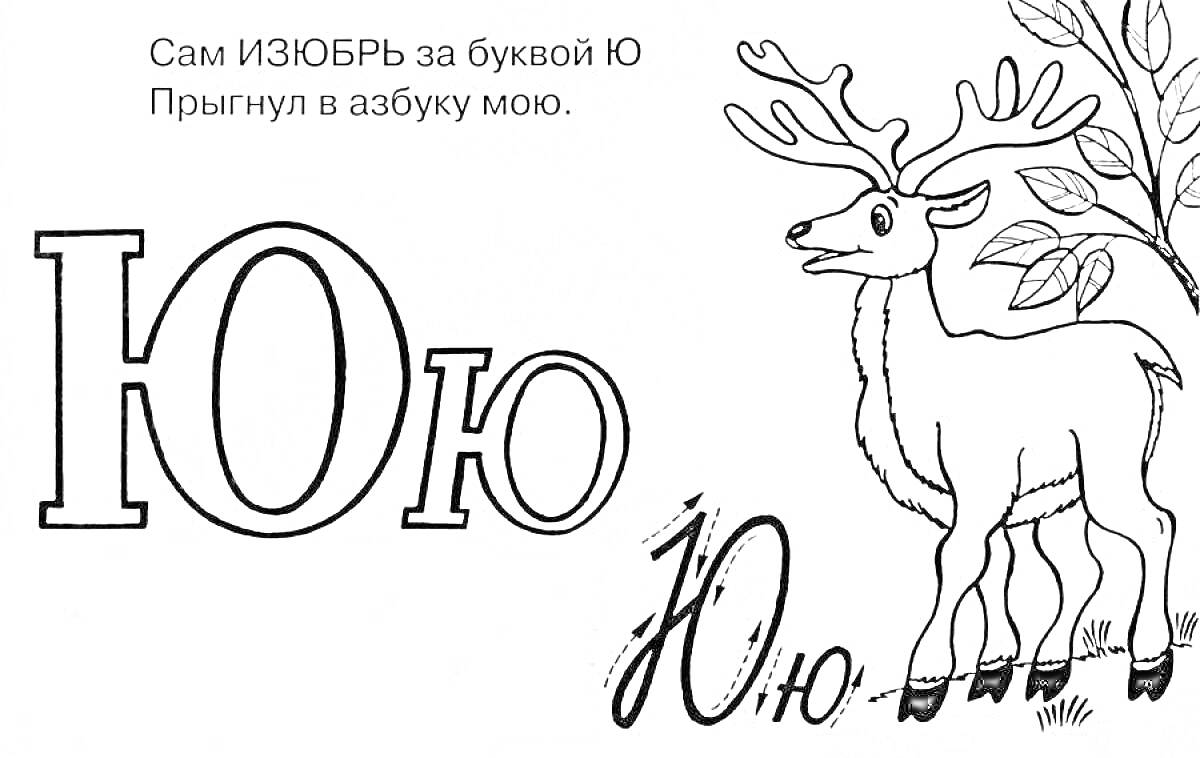 На раскраске изображено: Буква Ю, Алфавит, Олень, Азбука, Учим буквы, Обучение, Русские буквы