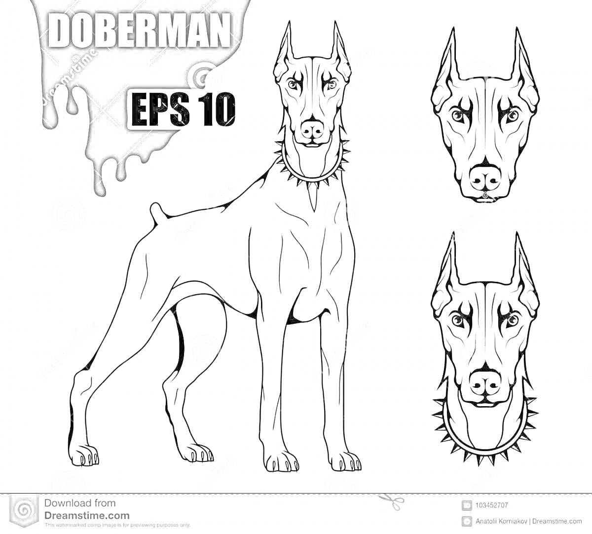 Раскраска Доберман, полный профиль собаки с двумя изображениями головы, текст DOBERMAN и EPS 10, рисунок ошейника с шипами