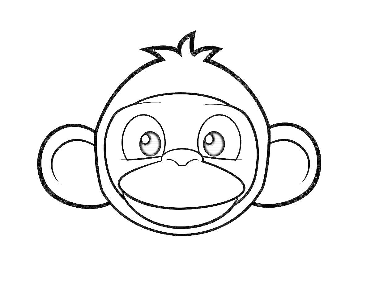 На раскраске изображено: Лицо, Уши, Улыбка