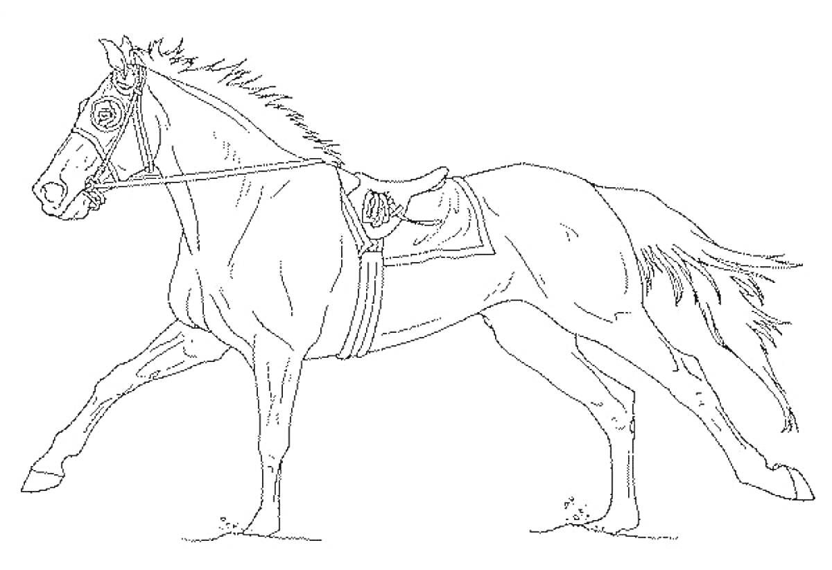 На раскраске изображено: Лошадь, Уздечка, Седло, Бег