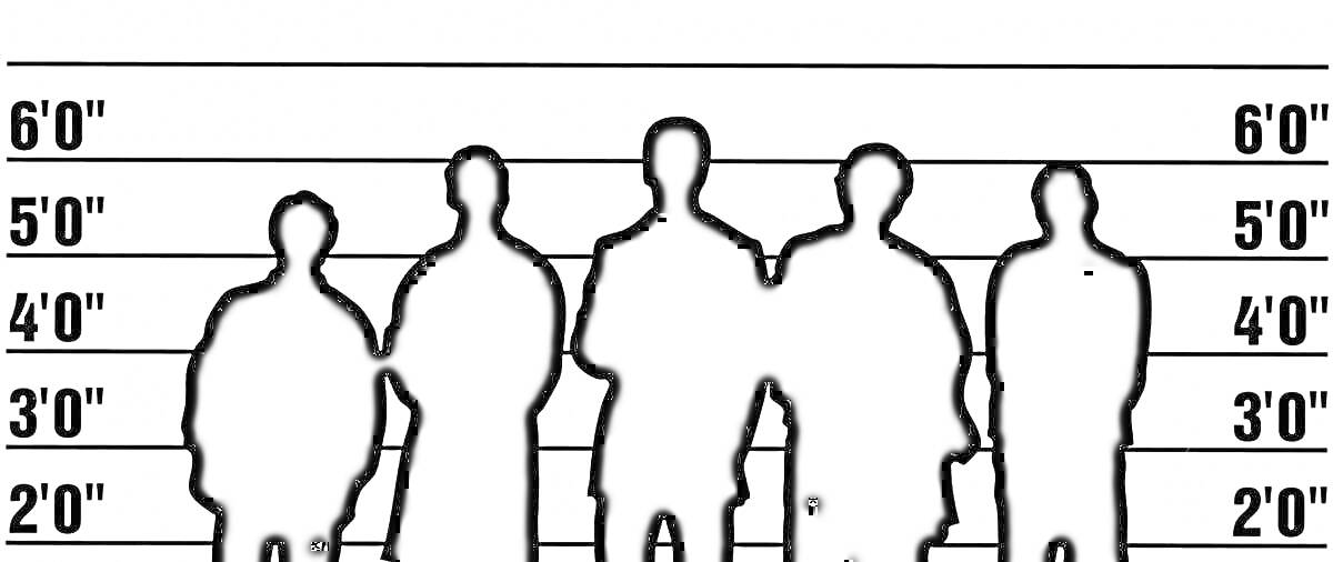 Раскраска Линия из пяти подозреваемых на фоне с метрическими отметками высоты от 2'0