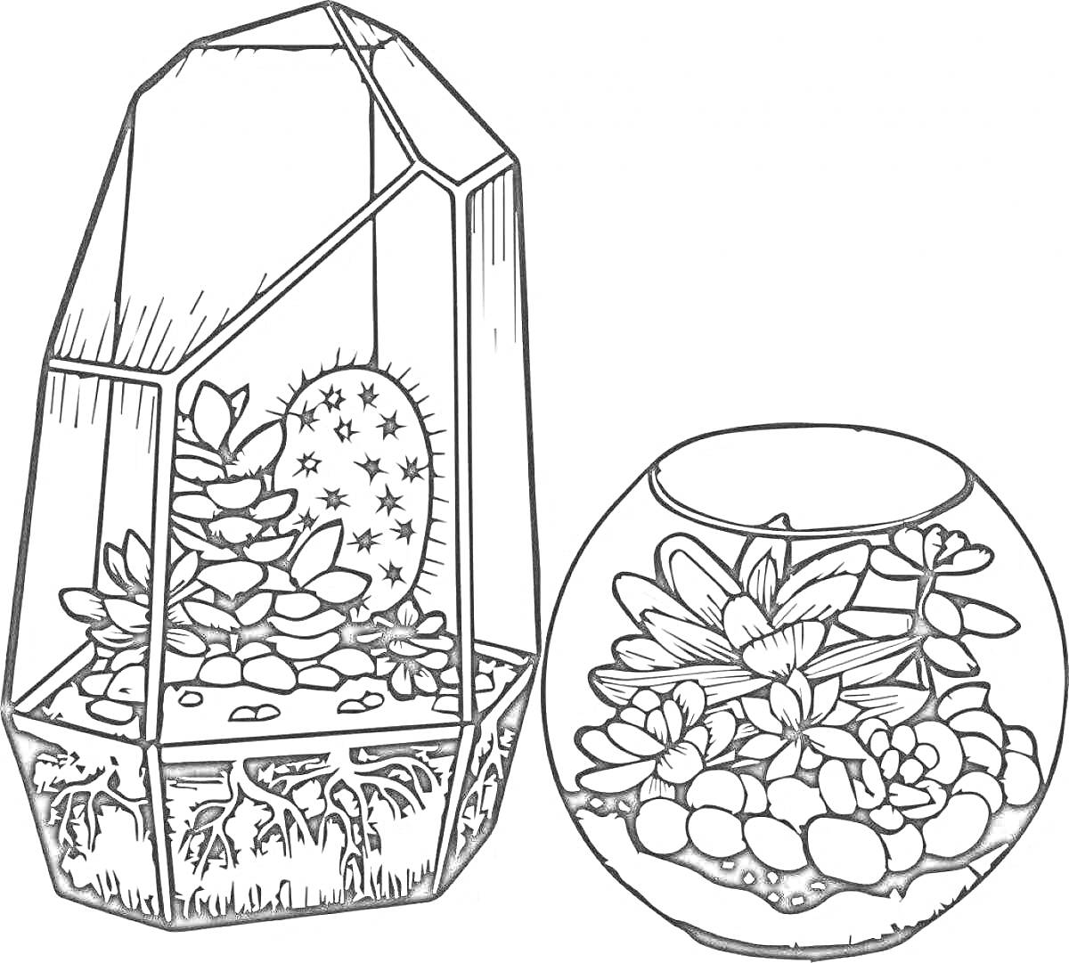 На раскраске изображено: Террариум, Суккуленты, Кактусы, Растения, Декор, Ботаника, Садоводство, Природа