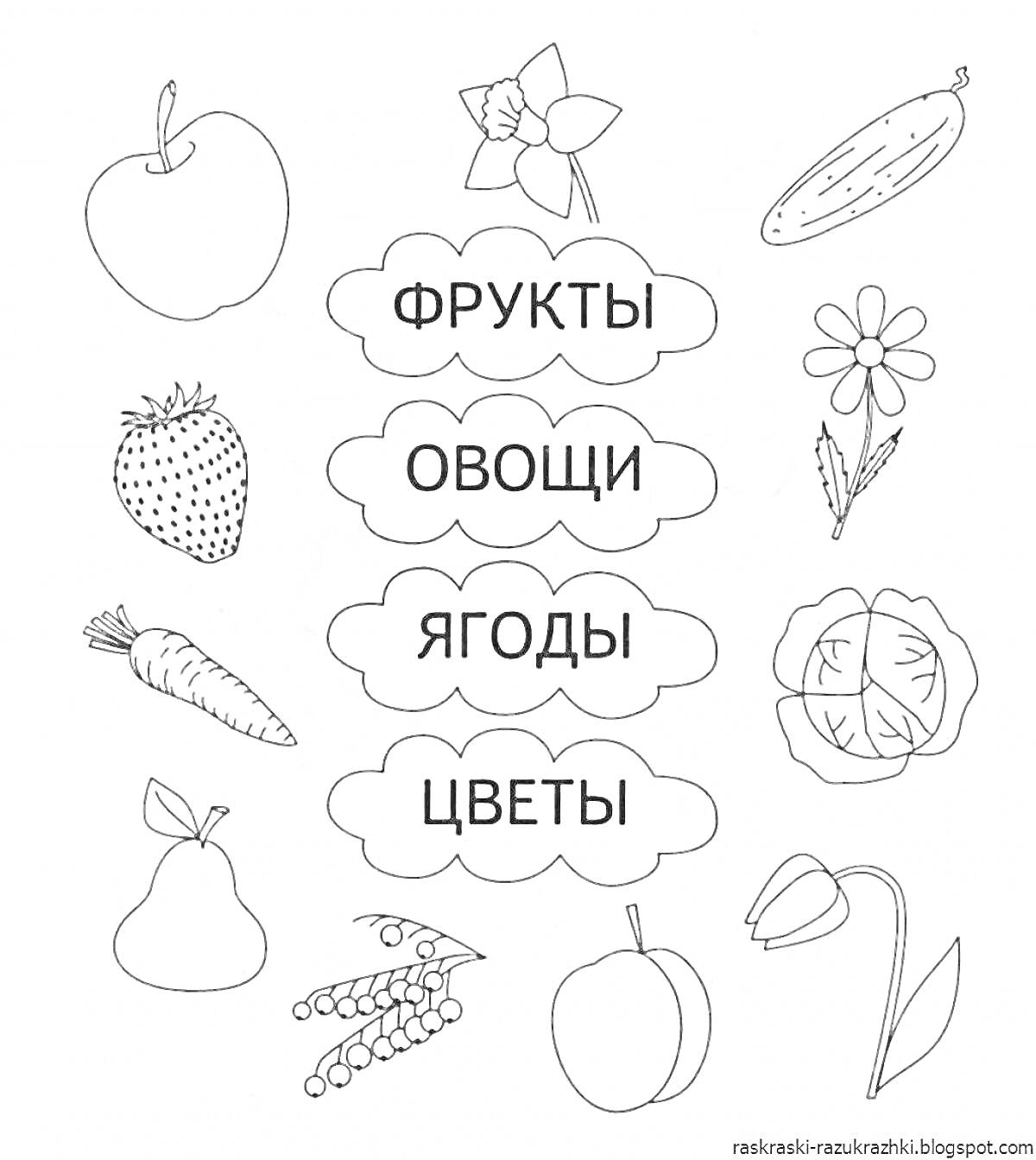 На раскраске изображено: Фрукты, Ягоды, Цветы, Овощи, Яблоко, Клубника, Морковь, Огурец, Персик, Ромашка, Мак