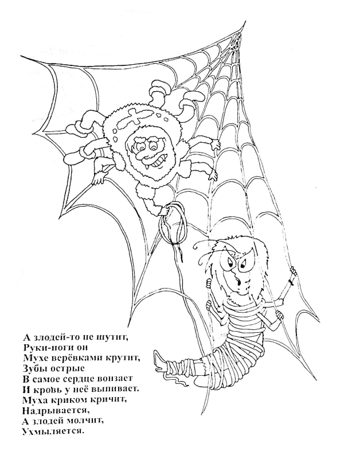 Раскраска Паутина с пауком и мухой, текст стихотворения